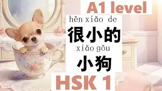 HSK1, for beginner, Learn Chinese through Chinese story, A1 level, 很小的小狗