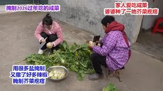 为了腌制2026过年吃的咸菜，婆婆专门种了一地芥菜疙瘩，儿媳用很多盐腌制，又撒了好多辣椒，这咸菜全家爱吃