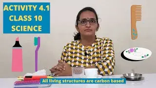 ACTIVITY 4.1 ll CLASS 10 ll SCIENCE ll CHAPTER 4 ll NCERT ll ANKITA MAM