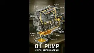 Oil pump circulation diagram of engine lubrication