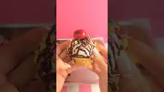 Sweet Scoops A La Mode &ndash; Ice cream inspired sweetness made for endless squeezes