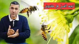 تجمد أو تسكر العسل هل مغشوش 