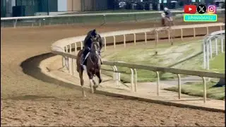 Kentucky Derby Winner Mystik Dan, Nitrogen, and More Prep at Churchill Downs for 2025 Breeders' Cup