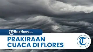 Prakiraan Cuaca di Flores Senin 05 Januari 2026, Sebagian Wilayah Berawan, Labuan Bajo Udara Kabur