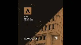 DJ Troll - Paranoid (Original Mix) [Audiocode 078]