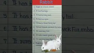 essay on rabbit in english | #shorts #ytshorts #shortvideo #short