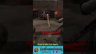 Sending orcs to the shadow realm is what I do