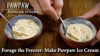Making Pawpaw Ice Cream: Easy Step-by-Step Master Recipe