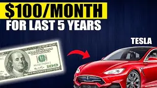 $100/Month in Tesla for 5 Years&mdash;The Shocking Results