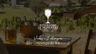 Vinhos e Enoturismo - São Lourenço do Barrocal