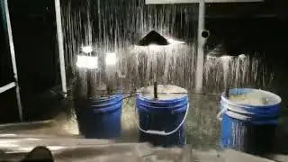 Goldsuno Landscape Light Series* IP65 Waterproof Test