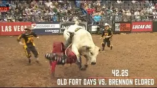 Old Fort Days Continues to Dominate in 2019. Will He Remain Undefeated?