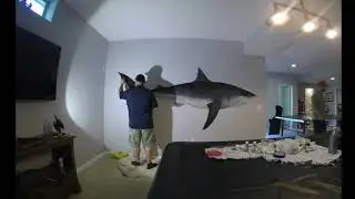 Shark Painting Timelapse