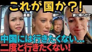 なぜ外国人は中国・日本に来るのか？本音トーク集【1時間まとめ】