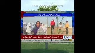 Tree Plantation Drive | Press Release | Pearl Residencia, Toba Tek Singh