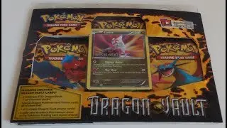 entering the DRAGON VAULT