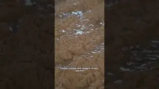 Whole sewage treatment process