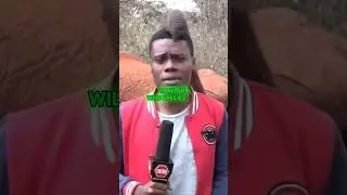 These Elephants Tricked this News Reporter&hellip;