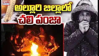 అల్లూరి జిల్లాలో చలి పంజా | Cold Wave Condition In Alluri District | CVR NEWS