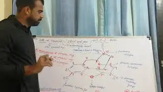 Structure activity relationship of opioid analgesics