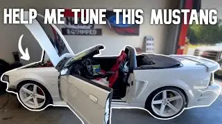 I Tuned One Of The Baddest New Edge Mustangs Out Here