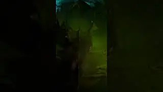 The dragon under the castle of Disneyland Paris 12.7.25