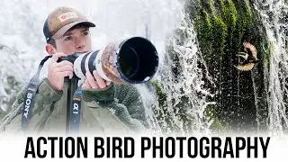 White-Throated Dipper - STORY BEHIND THE SHOT