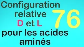 76_Configuration relative D et L pour les acides aminés