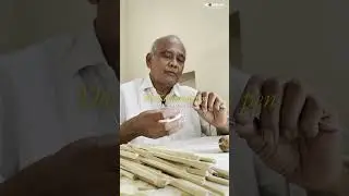 The Art Behind Kalamkari Pen | How Kalamkari Pens are Made?