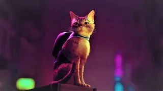 STRAY #001 : HINTS.  WALKTHROUGH FOR B-12 AND INPUT DIGICODE #straygameplay #cat #catlovers