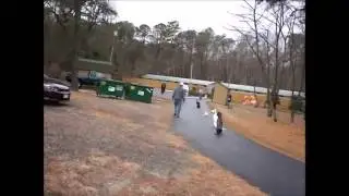 Group Dog Training