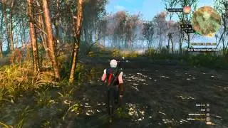 The Witcher 3: Crookback Bog fps test (daytime)