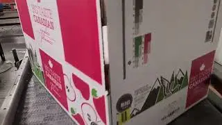 IBC PA10L Apple Box Label Printer Applicator