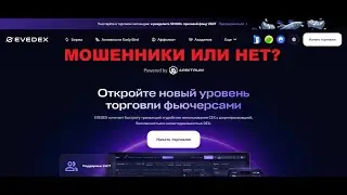 EVEDEX &mdash; отзывы. Стоит ли сотрудничать?