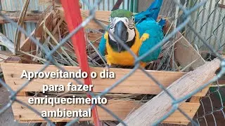 Enriquecimento ambiental para araras e papagaios