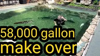 58000 gallon monster pond gets a makeover for my predator fish pool/pond