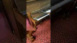 Review đ&agrave;n piano cơ SAMICK SM500  | Grand PIANO - Hệ thống cửa h&agrave;ng PIANO cao cấp