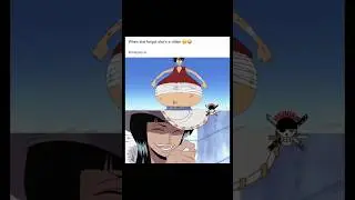 Subscribe for more daily anime content #anime #onepiece #memes #manga #nami #luffy #zoro #luffyanime