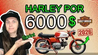 La Harley SPRINT ser&aacute; la Harley MAS BARATA de la HISTORIA para el 2026. Conoce su origen!