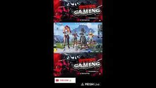 Live streaming of Otter Gaming