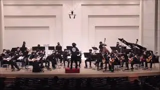 Ghost of Tsushima「Jin Sakai」- Mandolin Orchestra