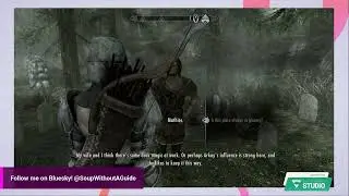 What follower should I choose? -New Game -Backseating encouraged