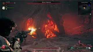 Remnant 2 - Part 28 - Root Nexus Boss Fight