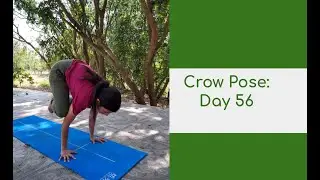 Crow pose Day 56 | 30 min pranayama (breath work), chanting, meditation | Nitya Sadhana English 🧘