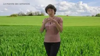 S&eacute;quence 1 3 6  Construire des syst&egrave;mes ind&eacute;pendants de l'agrofourniture