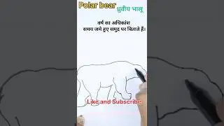How to draw a Polar Bear #Animal #bear / Easy drawing