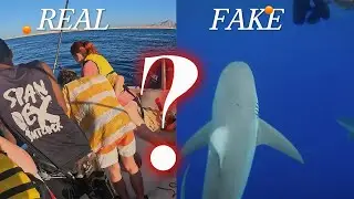 Sharm el sheikh - Ship wreck Speed Boat Adventure   Eng/Ger/PL 🚤🛥#209
