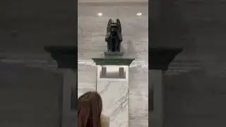Greg the Gargoyle 🗿Denver International Airport Conspiracy is REAL 😱 #DENFiles
