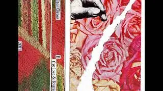 split cassette with Walter Gross (2011) full album