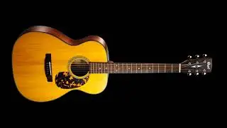 Cort L300V &mdash; All Solid Wood Acoustic Guitar